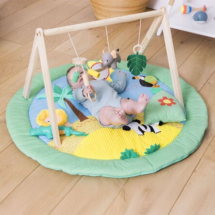 Safari Collection Baby Activity Gym \x26 Accessories  hi\-res